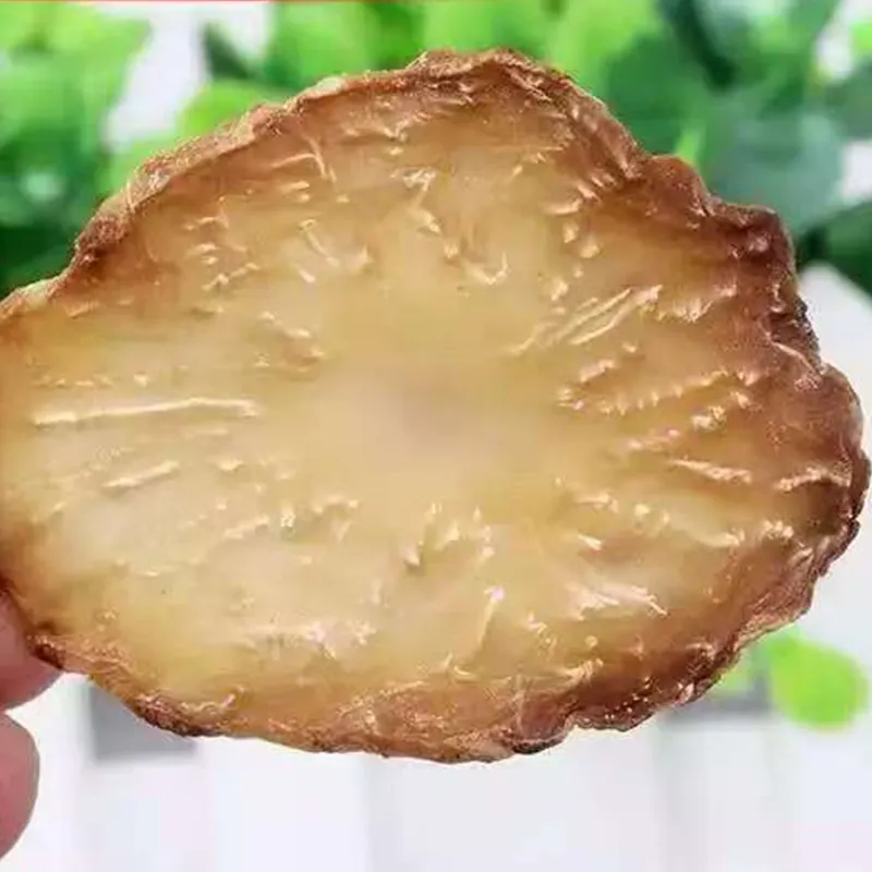 Дикий корень цистанхе.3